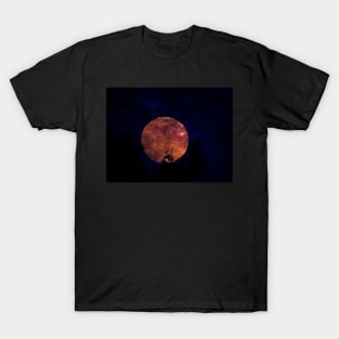 Full moon T-Shirt